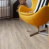 CORK OAK LEACHED